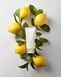 Зволожувальний крем з вітаміном С для сяяння шкіри Needly Vita C Glow Toning Cream, 50ml MC - 022136 фото 6